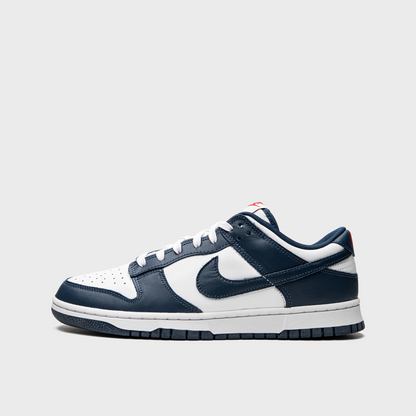 Nike Dunk Low Valerian Blue