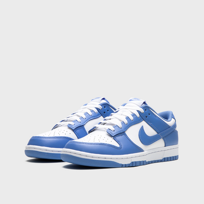 Nike Dunk Low Polar Blue