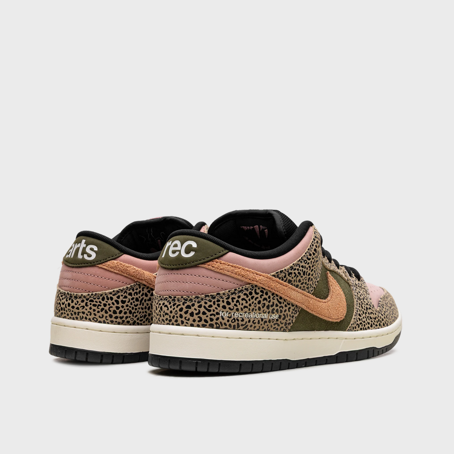 Nike SB Dunk Low Arts-Rec Skateshop